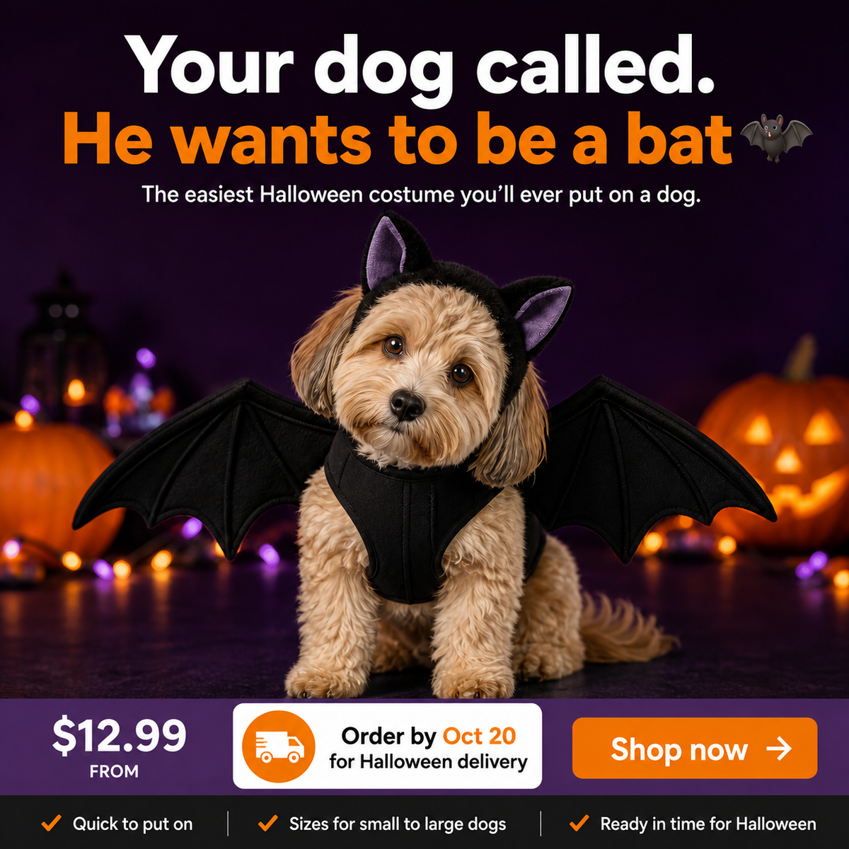 RYPET Dog Halloween Costume - Halloween Bat Wings Pet Costumes for Dogs Cats Halloween Party Large